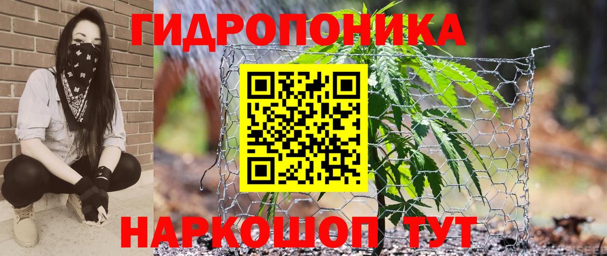 Октябрьский  Бошки Шишки марихуана  Конопля OG Kush  Вход с VPN 